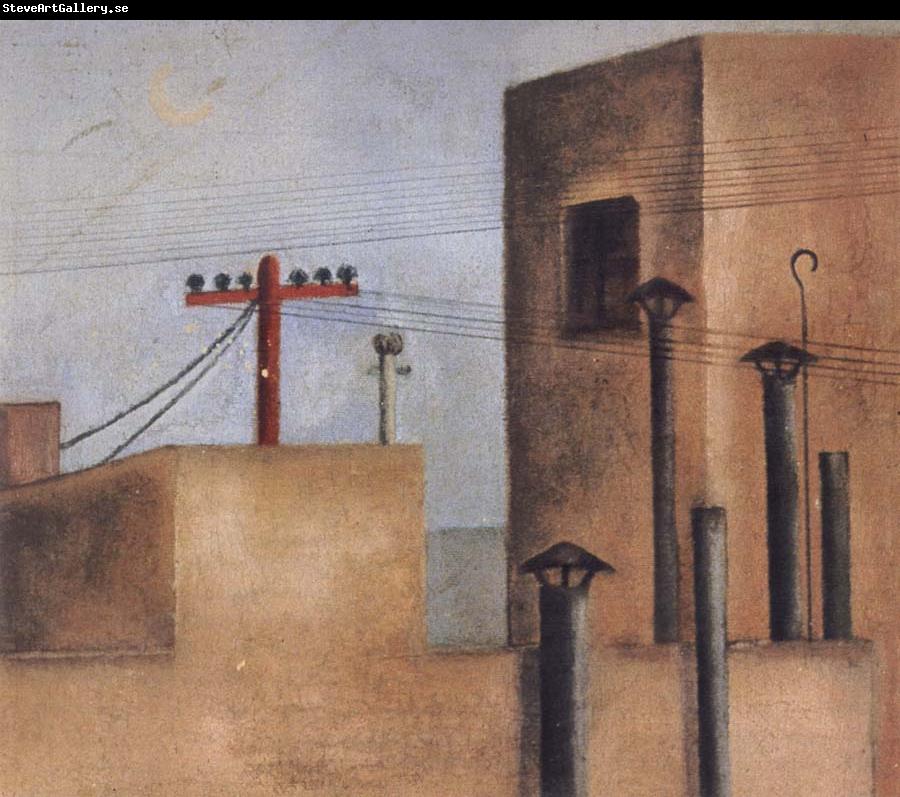Frida Kahlo After Fride left the Red Cross Hospital,she painted a cityscape of a small,stark rooftop view.On one of the buildings she painted a red cross